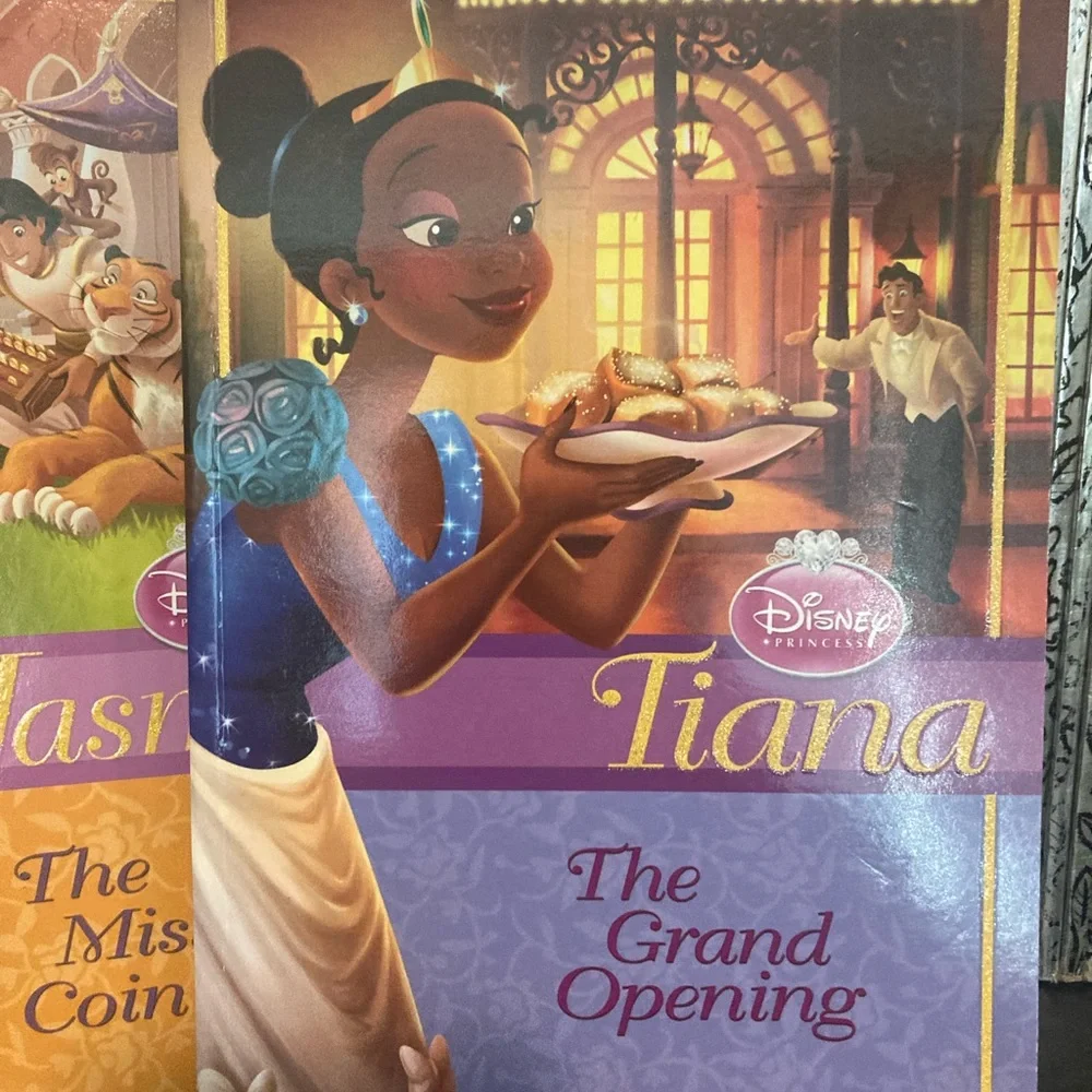 NEW - Disney Princess Illustrated Chapter Book Bundle - Picture 2 of 6